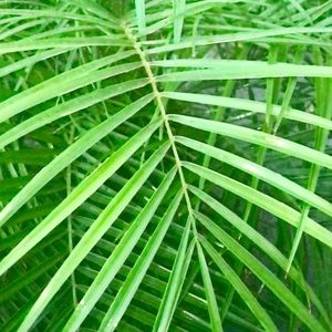 Meet your Posher, Marina